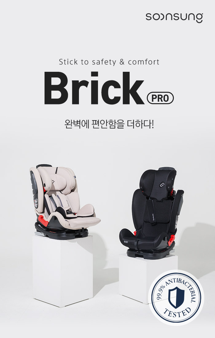 BrickPro01.jpg